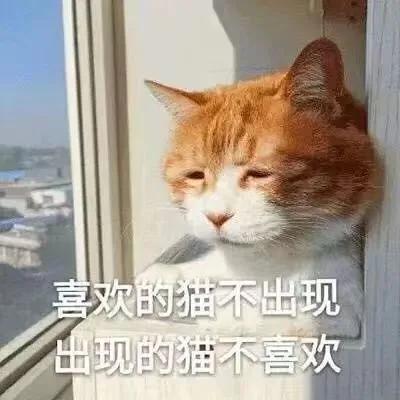 喜欢的猫不出现出现的猫不喜欢（喜欢的猫不出现出现的猫不喜欢）