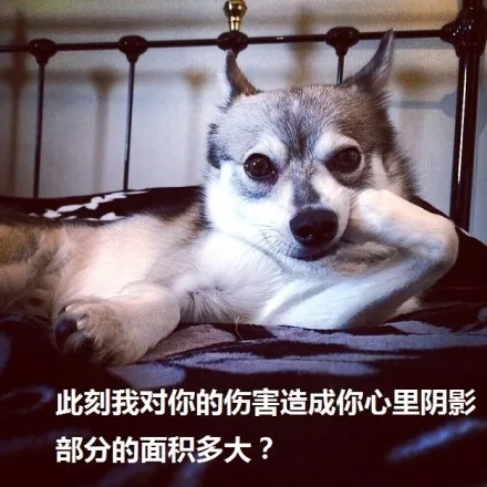 此刻我对你的伤害造成你心里阴影部分的面积是多大？