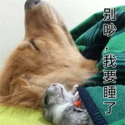别吵 我要睡了（别吵 我要睡了）