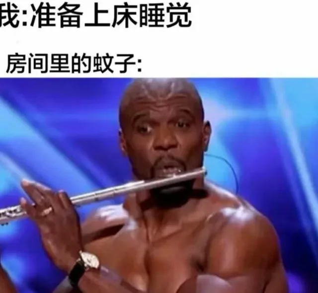 我：准备上床睡觉房间里的蚊子：（我：准备上床睡觉房间里的蚊子：）