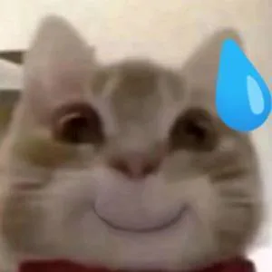 歪嘴猫猫表情包（歪嘴猫猫表情包）