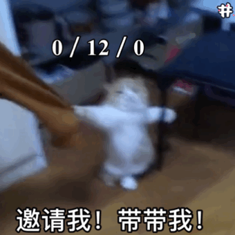 菜鸡求带打游戏