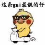 这条 gai 最靓的仔（这条 gai 最靓的仔）