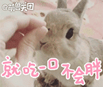 就吃一口不会胖