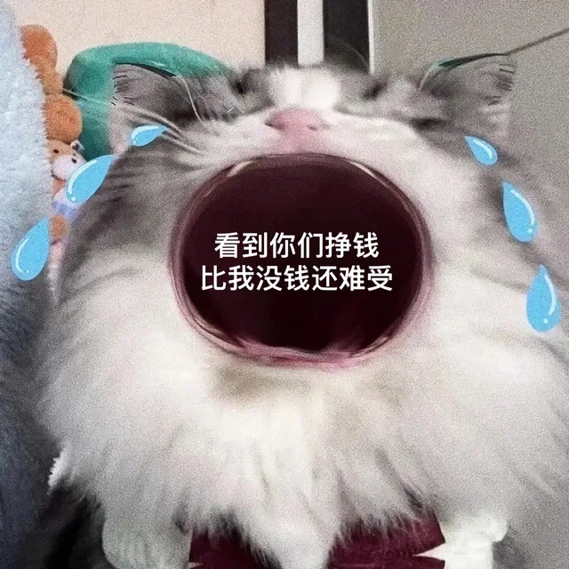 看到你们挣钱比我没钱还难受