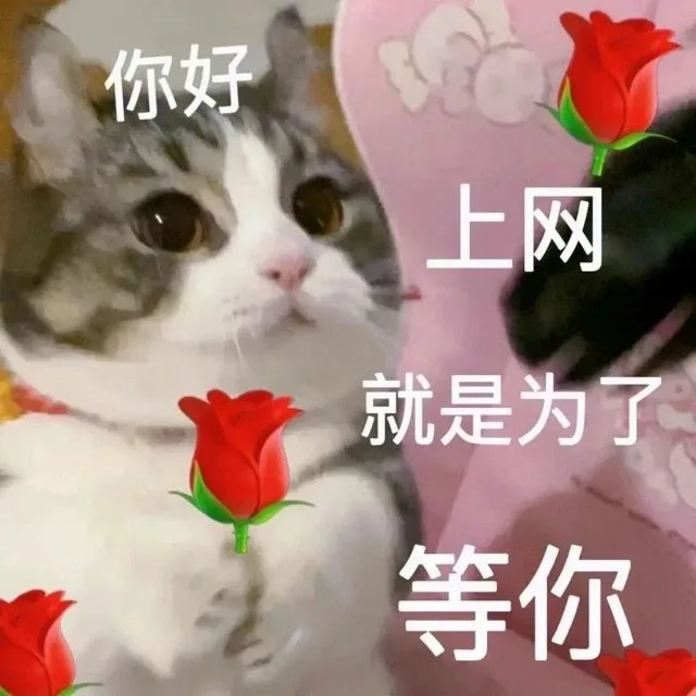 你好上网就是为了等你（你好上网就是为了等你）