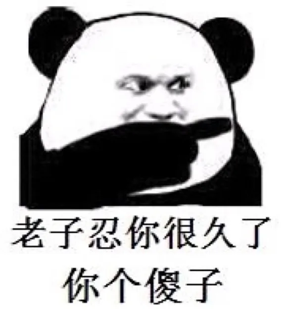 老子忍你很久了，你个傻子