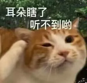 耳朵瞎了听不到哟（耳朵瞎了听不到哟）