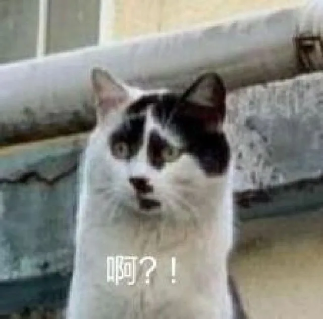 啊？！（啊？！）