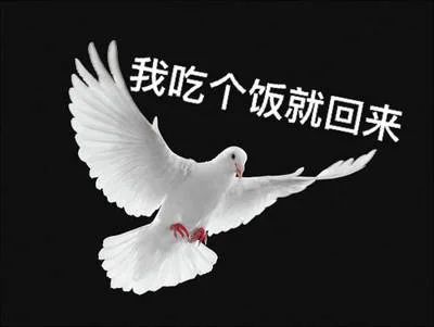 我吃个饭就回来