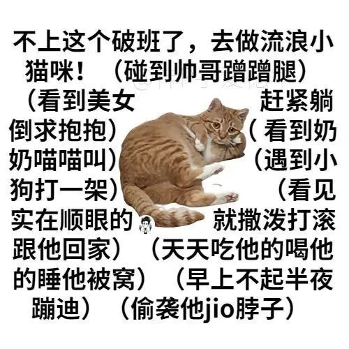 不上这个破班了,去做流浪小猫咪!(碰到帅哥蹭蹭腿)(看到美女赶紧躺倒求抱抱)(看到奶奶喵喵叫)(遇到小狗打一架)(看见实在顺眼的就撒泼打滚跟他回家)(天天吃他的喝他的睡他被窝)(早上不起半夜蹦迪)(偷袭他jio脖子)