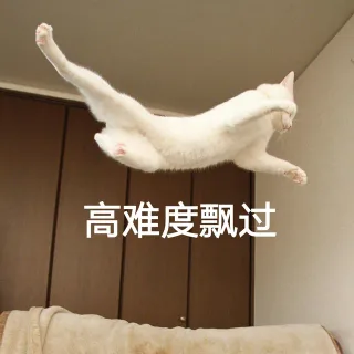 高难度飘过