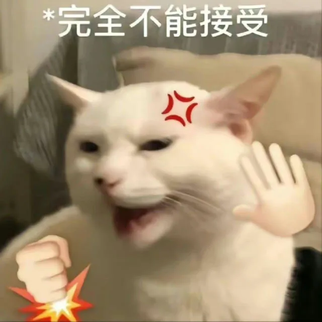 完全不能接受*!（完全不能接受*!）