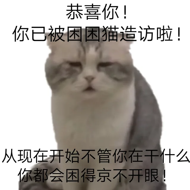 恭喜你!你已被困困猫造访啦!从现在开始不管你在干什么你都会困得京不开眼!（恭喜你!你已被困困猫造访啦!从现在开始不管你在干什么你都会困得京不开眼!）