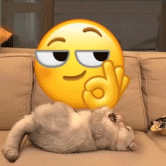 猫咪盘小黄脸 OK emoji（猫咪盘小黄脸 OK emoji）