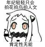 年纪轻轻只会拍花拍鸟拍人文肯定性无能（年纪轻轻只会拍花拍鸟拍人文肯定性无能）