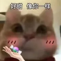 好甜像你一样/11/1（好甜像你一样/11/1）