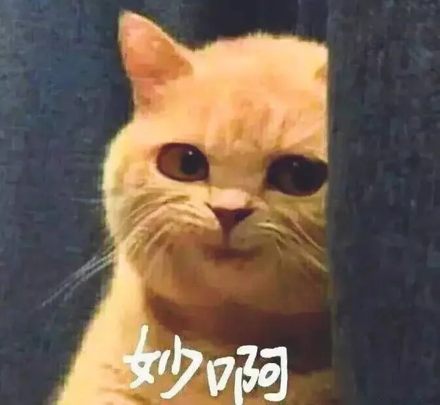 妙阿（妙阿）