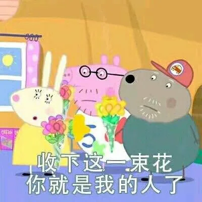 收下这一束花你就是我的人了（收下这一束花你就是我的人了）