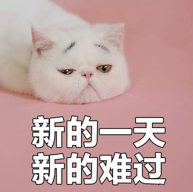 新的一天 新的难过