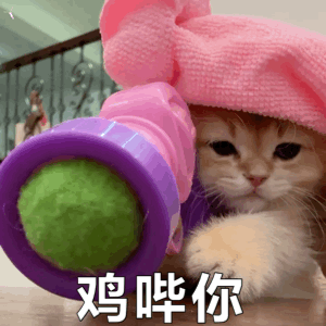 鸡哔你（鸡哔你）