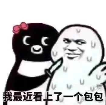 我最近看上了一个包包