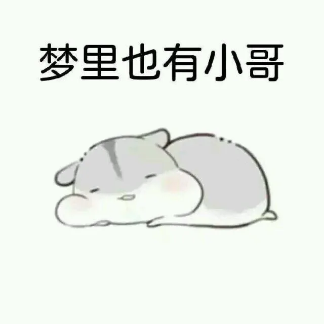 梦里也有小哥（梦里也有小哥）