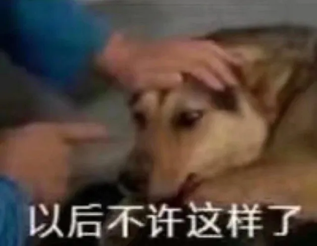 以后不许这样了（以后不许这样了）