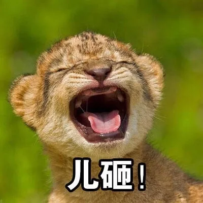 儿砸!