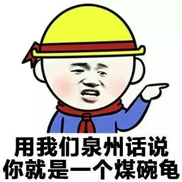 用我们泉州话说你就是一个煤碗龟