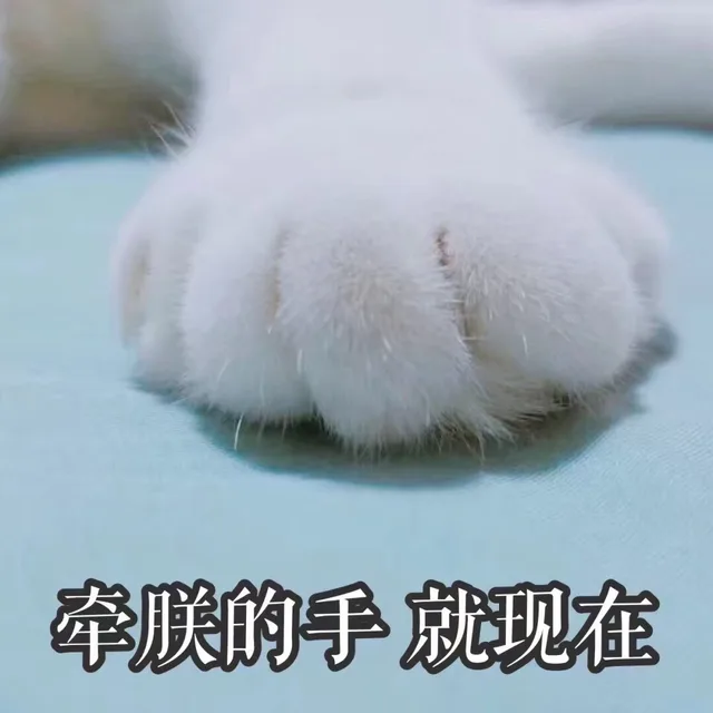 牵朕的手就现在（牵朕的手就现在）