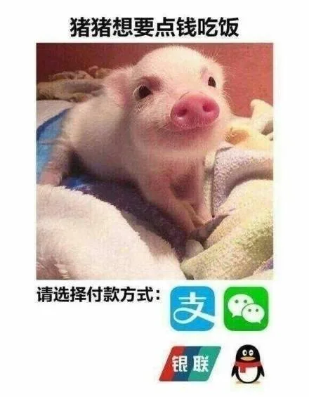 猪猪想要点钱吃饭，请选择付款方式：支付宝、微信钱包、银联支付、QQ 钱包