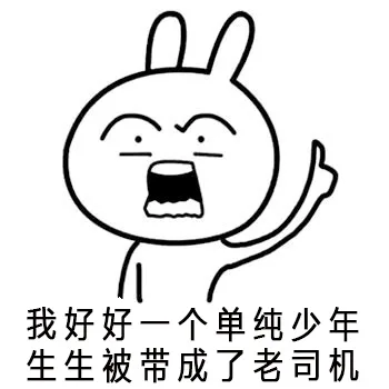 我好好一个单纯少年被带成了老司机