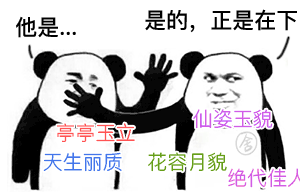 他是...是的，正是在下。 绝代佳人 亭亭玉立 天生丽质 花容月貌（他是...是的，正是在下。 绝代佳人 亭亭玉立 天生丽质 花容月貌）