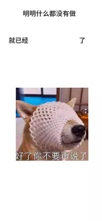 明明什么都没有做就已经了好了你不要再说了