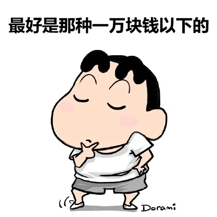 最好是那种一万块钱以下的