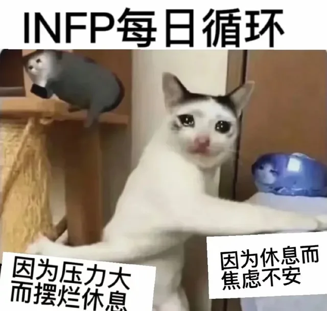INFP每日循环因为压力大因为休息而焦虑不安而摆烂休息（INFP每日循环因为压力大因为休息而焦虑不安而摆烂休息）