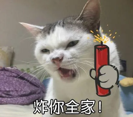 炸你全家！（炸你全家！）