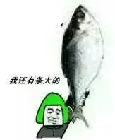 我还有条大的