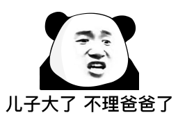 儿子大了 不理爸爸了