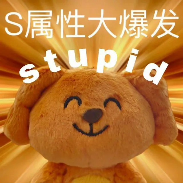 S属性大爆发stupig