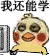我还能学（小黄鸡）（我还能学（小黄鸡））