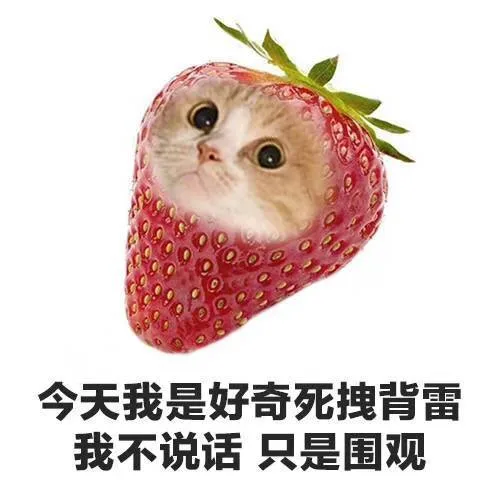 今天我是好奇死拽背雷我不说话只是围观（今天我是好奇死拽背雷我不说话只是围观）