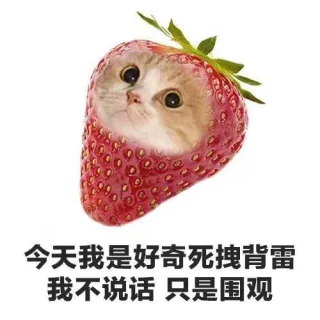 今天我是好奇死拽背雷我不说话只是围观