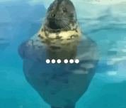 ●●●●●●（●●●●●●）