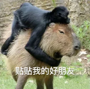 贴贴我的好朋友（贴贴我的好朋友）