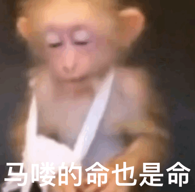 马喽的命也是命（马喽的命也是命）