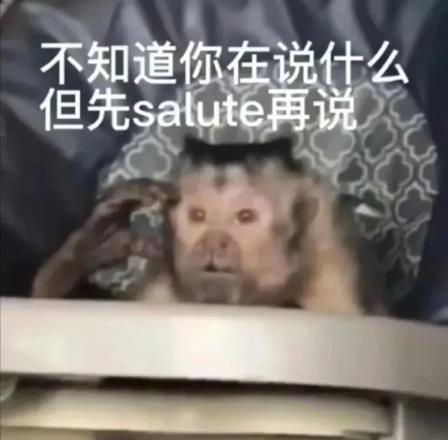 不知道你在说什么但先salute再说(吗喽表情包)（不知道你在说什么但先salute再说(吗喽表情包)）