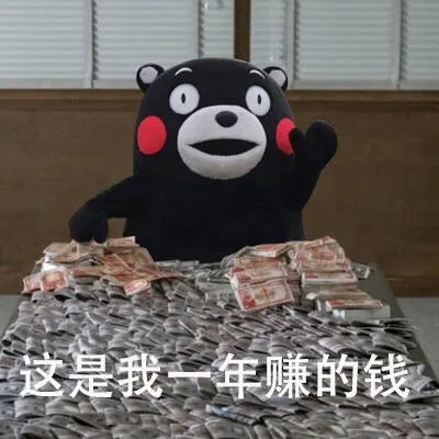 这是我一年赚的钱（这是我一年赚的钱）