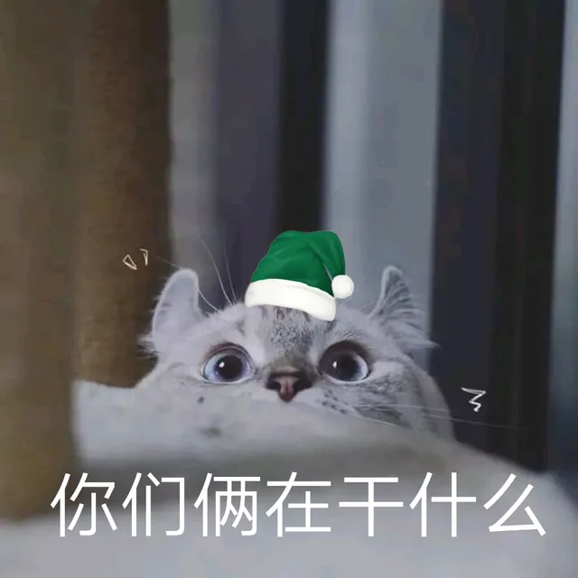 你们俩在干什么（猫咪戴绿帽）